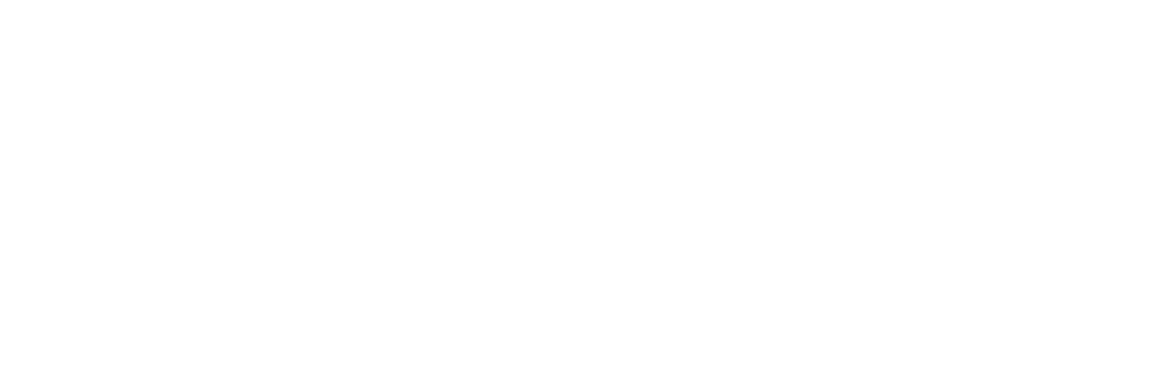 TYR — IT Innovation Technology